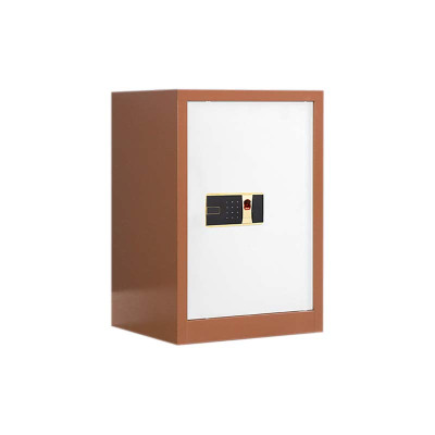 风雷动保密柜财务档案柜文件柜办公室资料储物柜保险柜电子密码国保锁单门咖白-指纹密码锁