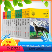 [套装12册]沈石溪动物小说 [正版]狼王梦 动物小说大王沈石溪典藏书系阅读寒暑假课外13读经典书目书籍非注音全集9-1