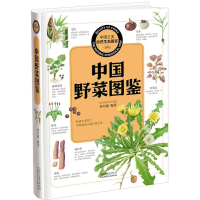 音像中国野菜图鉴刘全儒 编著