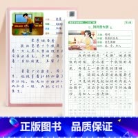 [下册]看图写话字帖+练习纸 小学二年级 [正版] 看图写话一年级练字帖每日一练上册专项训练范文大全阅读理解押题范文小学