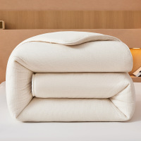 依朴 棉被 1700*2300mm 条