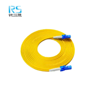 锐远晟单模光纤尾纤 LC-LC-5m 10根/包