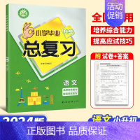 语文 小学升初中 [正版]2024新版名校培优 小学毕业升学总复习 语文数学英语 南海出版社小升初系统总复习知识大全专题