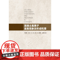 混凝土氯离子富集现象及形成机理 常洪雷 马川义 张浩 杨林 刘国建 王晓龙著