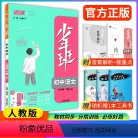 语文 九年级下 [正版]2024春少年班九年级下册语文人教版 初三 九下教辅辅导书资料练习册同步训练初中必刷题语文中考复