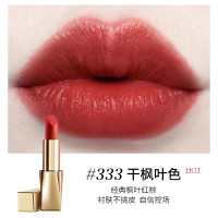 [国内专柜版 正品保证]EsteeLaude r雅诗兰黛倾慕唇膏3.5g 丝绒系列 333#21 干枫叶色