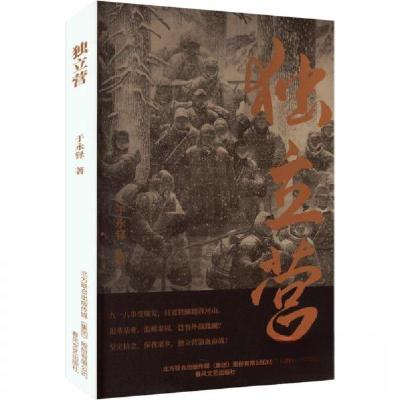 正版新书]独立营于永铎9787531364115