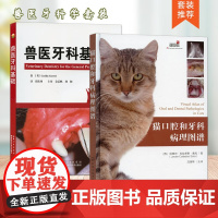 套装 2本 猫口腔和牙科病理图谱 兽医牙科基础 9787122381576 9787570603534