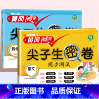 [2本]语文+数学(苏教) 四年级下 [正版]一年级试卷测试卷全套二年级三四五六年级上册语文数学英语真题试卷人教版小学生