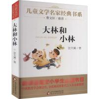 儿童文学名家经典书系《大林和小林》