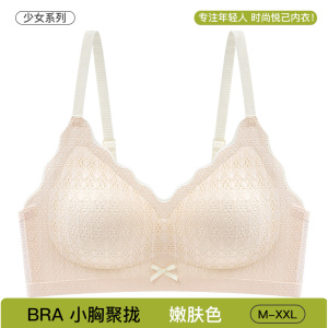 小清新风固定杯蕾丝内衣女小胸聚拢无钢圈收副乳软支撑少女文胸罩