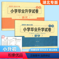 语文+数学[2本] 小学升初中 [正版]2023湖北武汉小升初语文数学真题卷 小学毕业升学试卷小考小升初bi刷卷六6年级