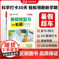 荣恒教育 25版 暑假预复习一本通 二升三 语数英一本通 知识出版社