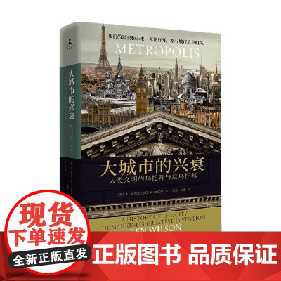 大城市的兴衰 人类文明的乌托邦与反乌托邦 本·威尔逊 著 历史