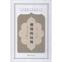 燃烧的坟场/中阿典籍互译系列