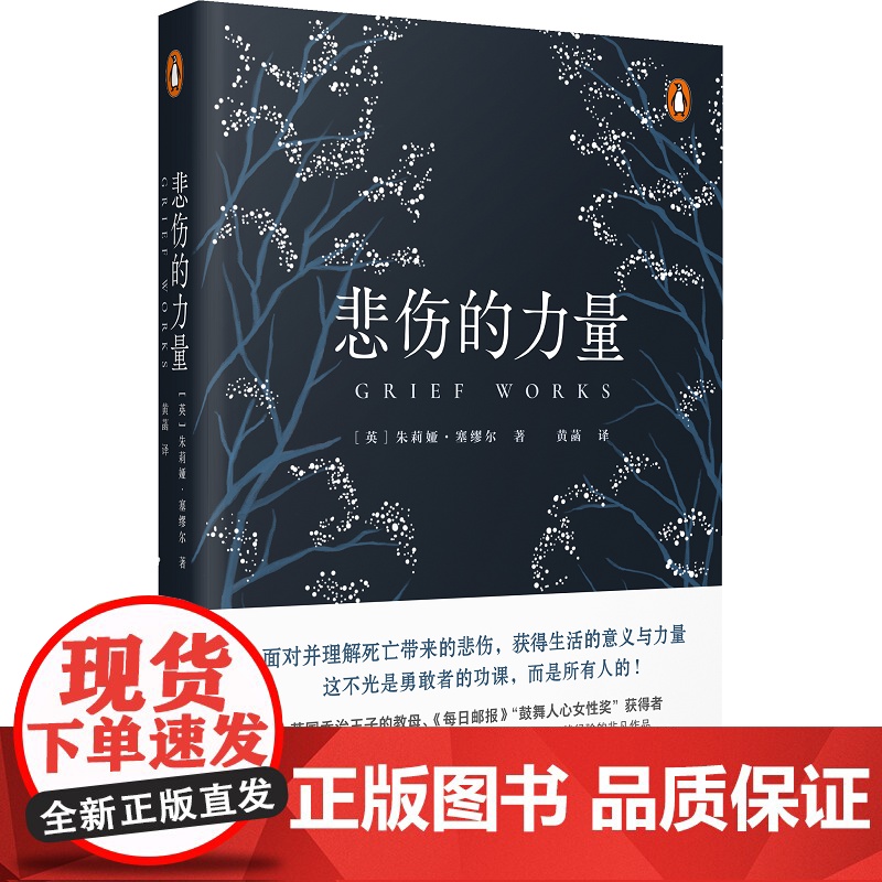 [正版]新民说 悲伤的力量 朱莉娅·塞缪尔 《非诚勿扰》节目心理学学者 黄菡翻译 广西师范大学出版社