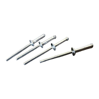 贝策 不锈钢拉铆钉 3*14mm 个