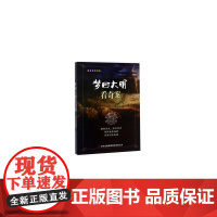 梦回大明看奇案
