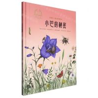 [N]小巴的秘密(精)/金羽毛暖心科普绘本-9787535093424