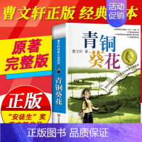 青铜葵花 [正版]青铜葵花原著曹文轩纯美小说系列全套 小学生四五六年级课外阅读书籍 草房子石榴船根鸟樱桃小庄细米马戏团天
