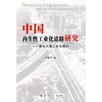 正版新书]中国内生性工业化道路研究//兼论大国模式王敏正978701