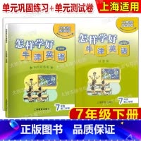 七年级下 英语 [正版]怎样学好牛津英语 七年级第二学期/7年级下7B 配上海修订版 书+试卷上海教育出版社 上海牛津版