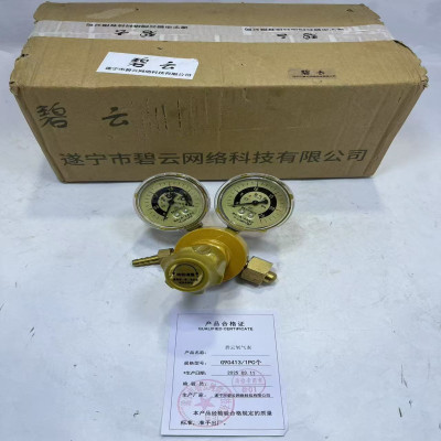 碧云 氧气表 G90413/1pc 只