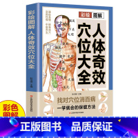 [正版]彩绘图解人体奇效穴位大全 三秒精准取穴 常见病对症治疗操作手法 中医实用疗法 特效穴位大全 人体穴位经络图 中