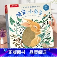 触摸纸板书⭐晚安,小 [正版] 触摸书婴儿0-3岁晚安 小鸭子幼儿早教书籍启蒙亲亲宝贝小兔推拉洞洞1-2宝宝睡前晚安