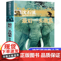 最后一头战象/沈石溪动物小说大PARTY 沈石溪动物故事 小学生三四五六年级课外阅读图书 8-9-10-12-15岁