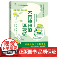 不再神秘的区块链 青少年信息技术科普丛书