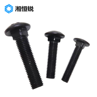 湘恒锐 半圆头方颈螺栓 M10X70 个
