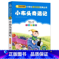 小布头奇遇记[注音版 孙幼军 著] [正版]小布头奇遇记一年级二年级三年级注音版北京教育出版社孙幼军经典童话故事书小学生