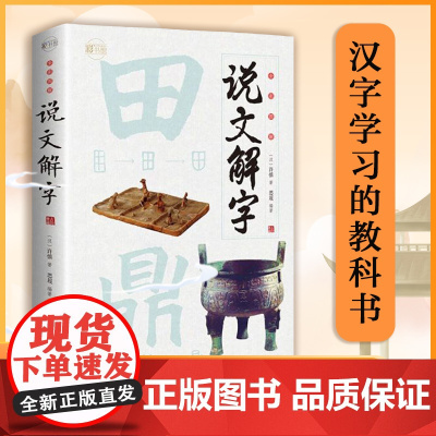 [小学通用]小学生说文解字词通解语文一二三四年级儿童正版少儿学习汉字演变图解象形字典给孩子的王国读物甲骨文字注咬文嚼字书