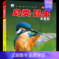 鸟类昆虫大百科 [正版]小眼睛看世界少年儿童百科全书大百科全套幼儿动物恐龙昆虫宇宙趣味科普类书籍小学生一二年级课外书军事