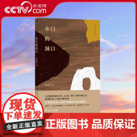 [央视网]水门的洞口 灵性欲望现实拉扯中的爱情 黄国峻 著 四川人民出版社 9787220109911 HL