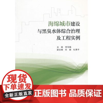海绵城市建设与黑臭水体综合治理及工程实例