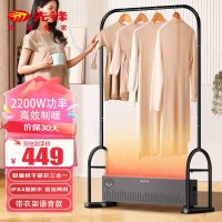 先锋(SINGFUN)踢脚线取暖器家用2200W功率 大面积电暖器卧室客厅取暖烘干取暖一体机 DTJ-T19R 语音款