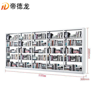 帝德龙书架单面收纳架SJ5 5105*300*2000mm