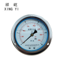 祥屹 耐震压力表轴向带边 YTN100ZT 0-25Mpa 块