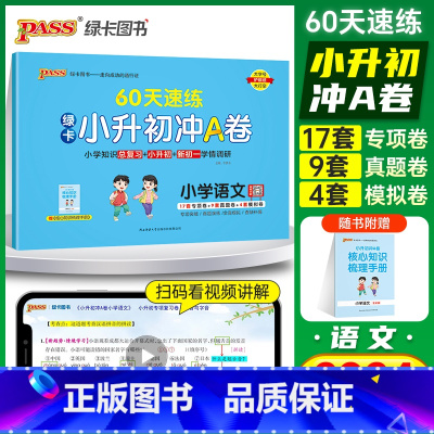 60天速练[语文]有解题视频 小学升初中 [正版]2024新版绿卡小升初冲A卷语文60天速练真题测试卷系统总复习小学升初