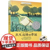 正版 从天而降的幸运 长青藤国际大奖小说书系 第2辑 6-12-15岁中小学生课外阅读书籍 青少年儿童文学校园成长故