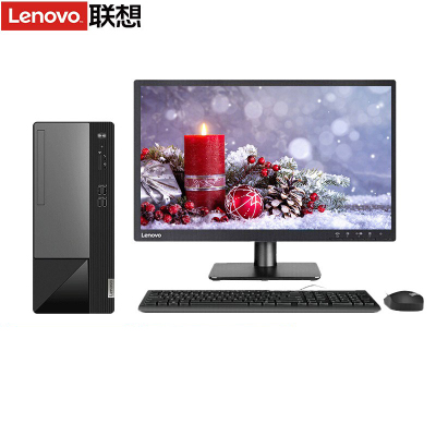 联想(Lenovo)扬天M460 商用台式电脑整机(i3-13100 16G 1T+512G固态 Win11)21.45英寸显示器 定制