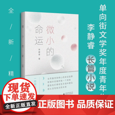 微小的命运 李静睿 著 关于爱情命运人生的选择 小说