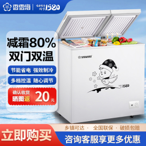 香雪海 248L 双温冰柜家用商用 大容量减霜双温冰柜 一级能效 卧式冰柜BCD-288A