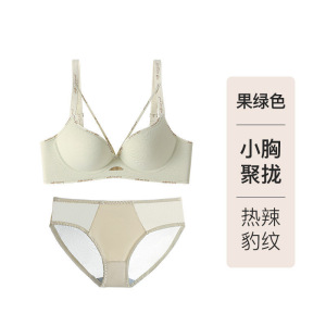 豹纹深V美胸内衣女2026新款小胸聚拢显大性感纯欲风痕文胸