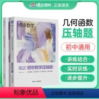 初中数学压轴题 初中通用 [正版]2024版蝶变中考数学压轴题精讲精练 挑战初中几何模型二次函数等压轴大题全解析高效专项