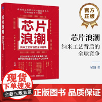 芯片浪潮 纳米工艺背后的全球竞争 余盛 纳米工艺的全球角逐史|芯片制造领袖人物的商战史 电子工业出版社