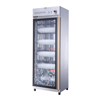 纳柏顿450-M2消毒柜商用立式单门大容量红外线臭氧餐厅饭店家用碗筷消毒碗柜