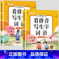 [2本]看拼音写词语上册+下册 五年级下 [正版]看拼音写词语一年级二年级三四五六年级上册语文人教版小学生注音生字拼音拼